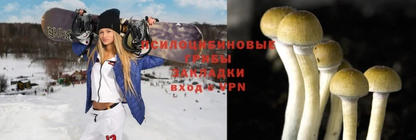 сатива Алексеевка
