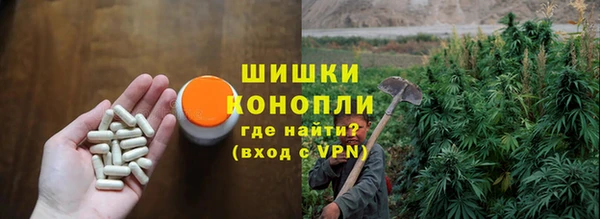 СК Аркадак