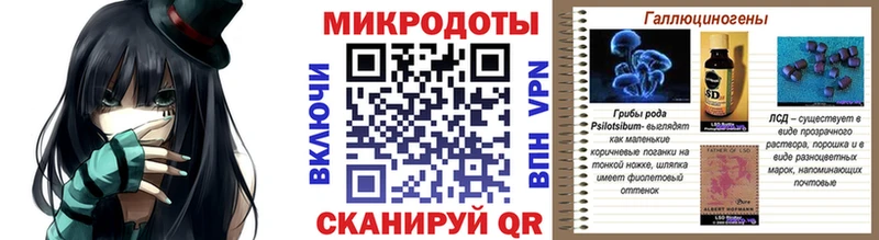 Псилоцибиновые грибы Psilocybe где продают Фокино