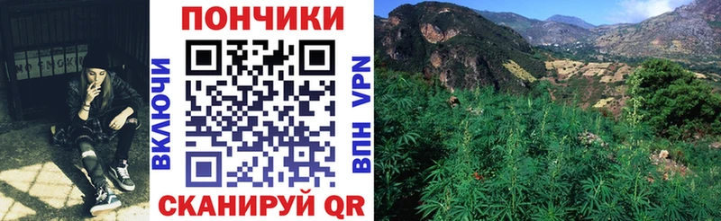 где можно купить наркотик  Фокино  Бошки Шишки планчик 